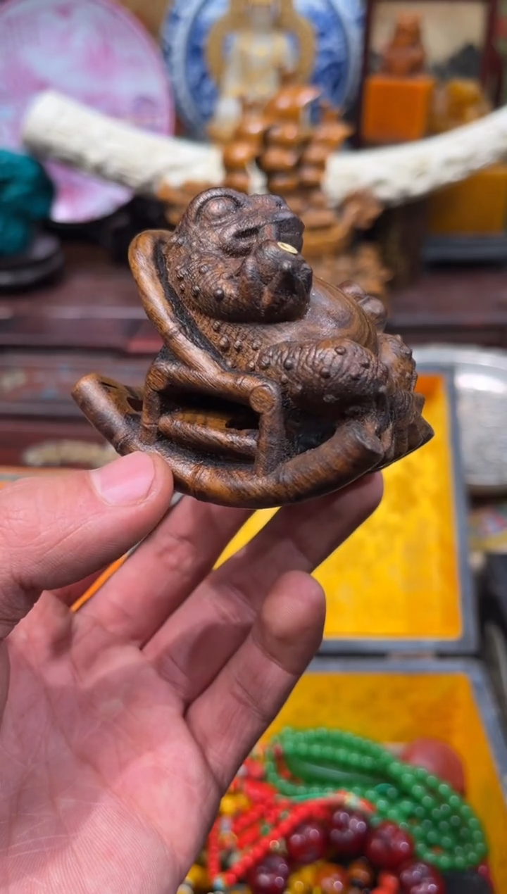 【闪购商品】香榧木53庞庞庞庞庞庞庞庞