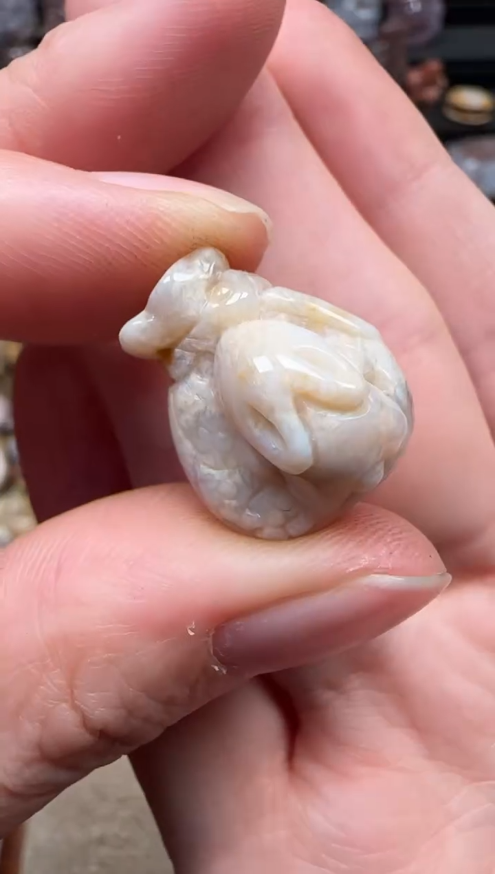 颈饰未镶嵌硅化珊瑚（珊瑚玉）538