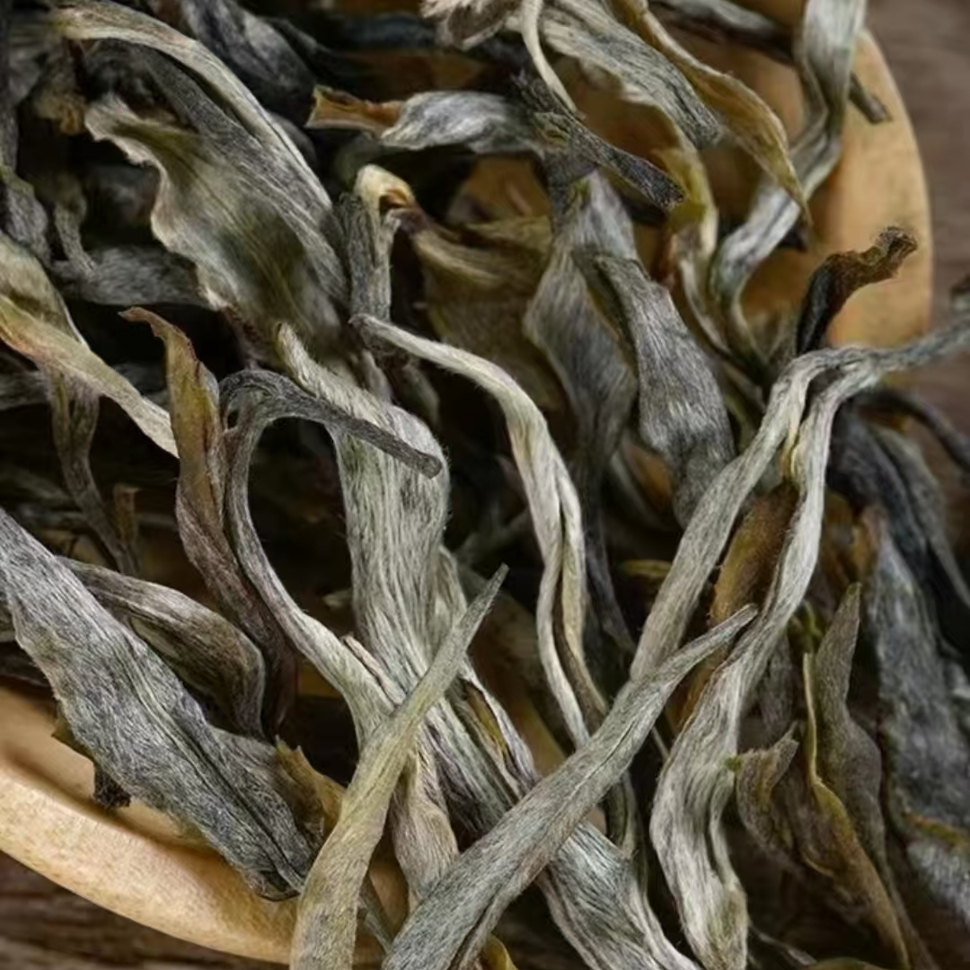 1028号-2025年 昔归忙麓正山混采（春）普洱生茶散茶