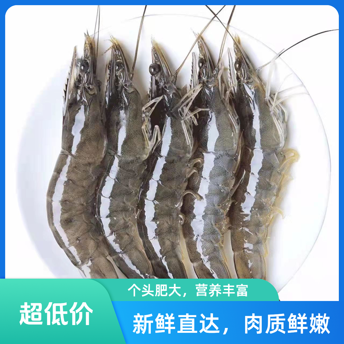 4斤海水大虾发货三斤送一斤试吃 16-18cm左右20-30 活虾急冻锁鲜到手50-60只左右顺丰冷链发货精品