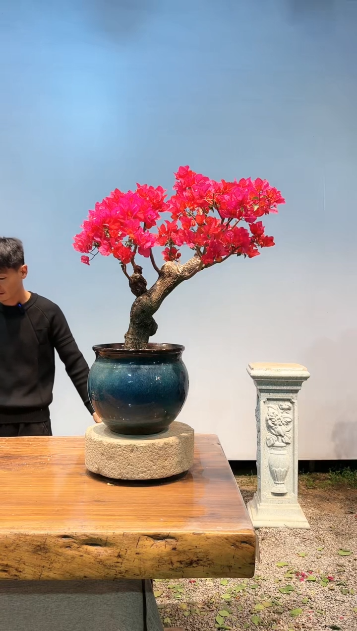 【闪购商品】AA650