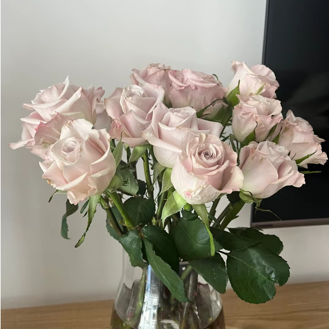 10支曼塔玫瑰瓶插花