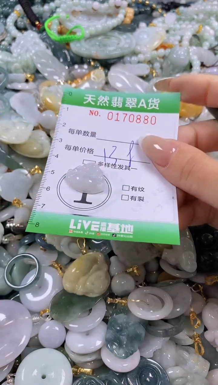 翡翠未镶嵌颈饰闪购0170880