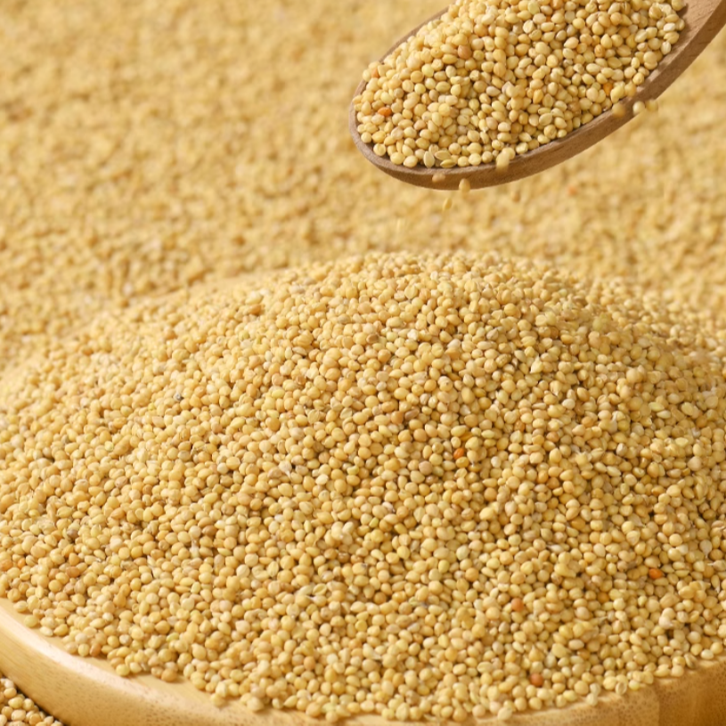 鹦鹉粮食5斤装包邮Y