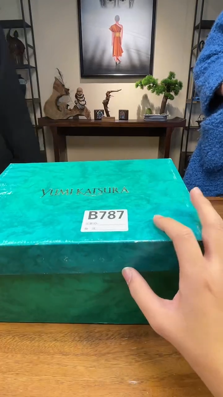 【闪购商品】B787中古产品默认微瑕