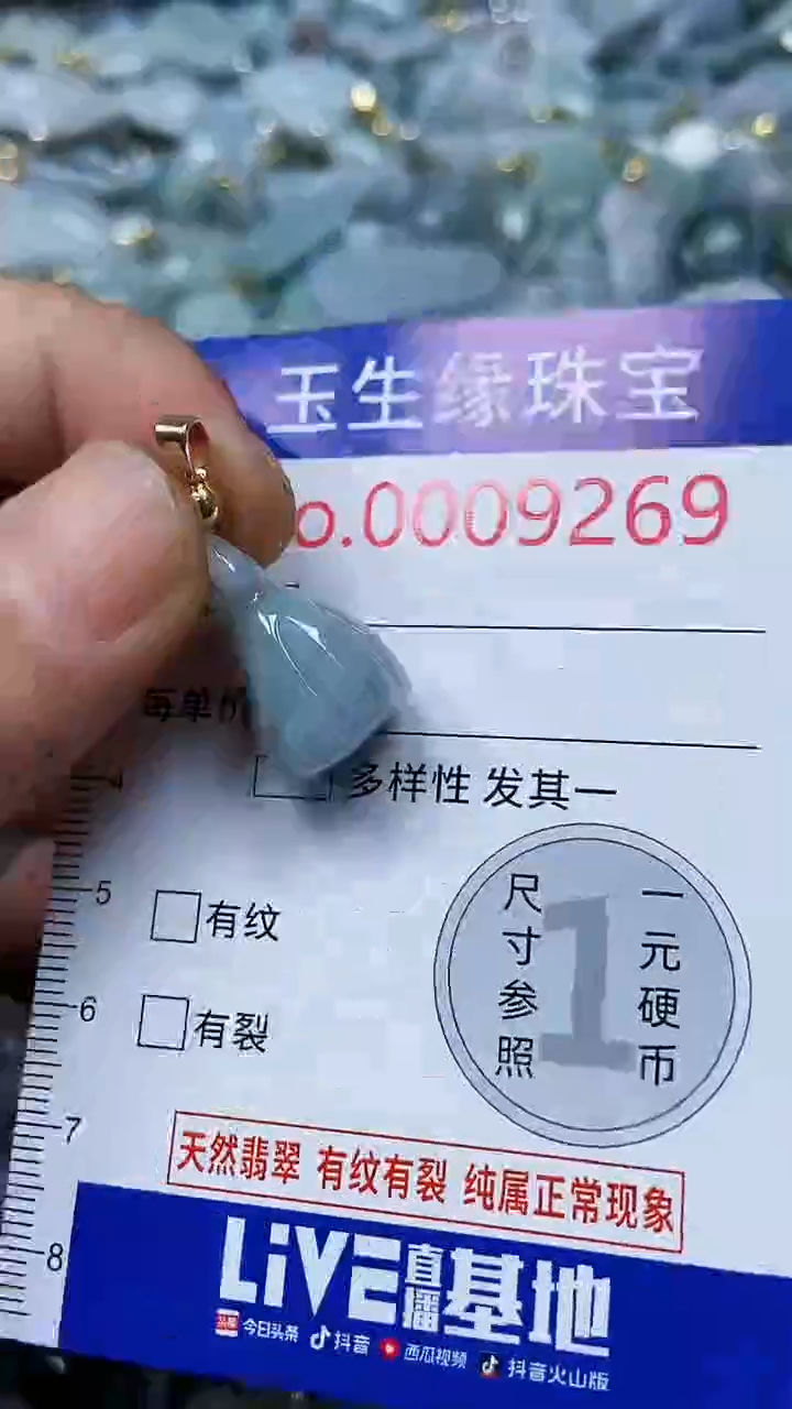 【闪购商品】翡翠颈饰未镶嵌闪购00009269