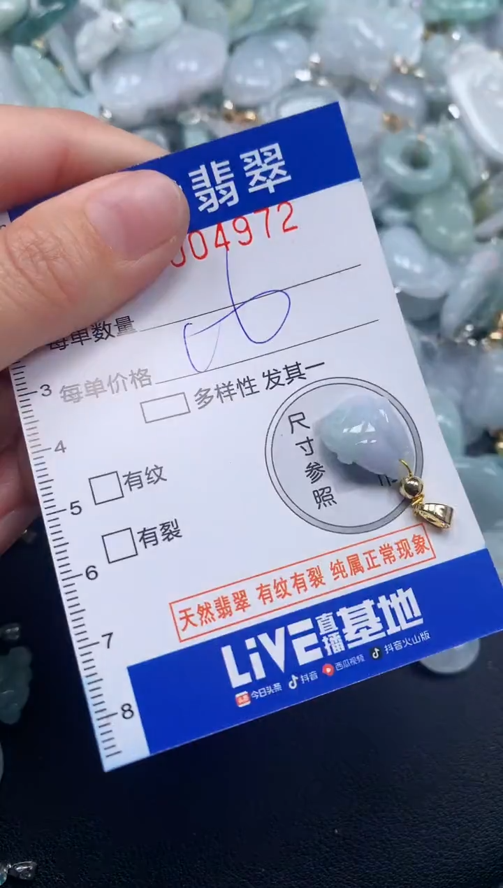 颈饰未镶嵌翡翠4972