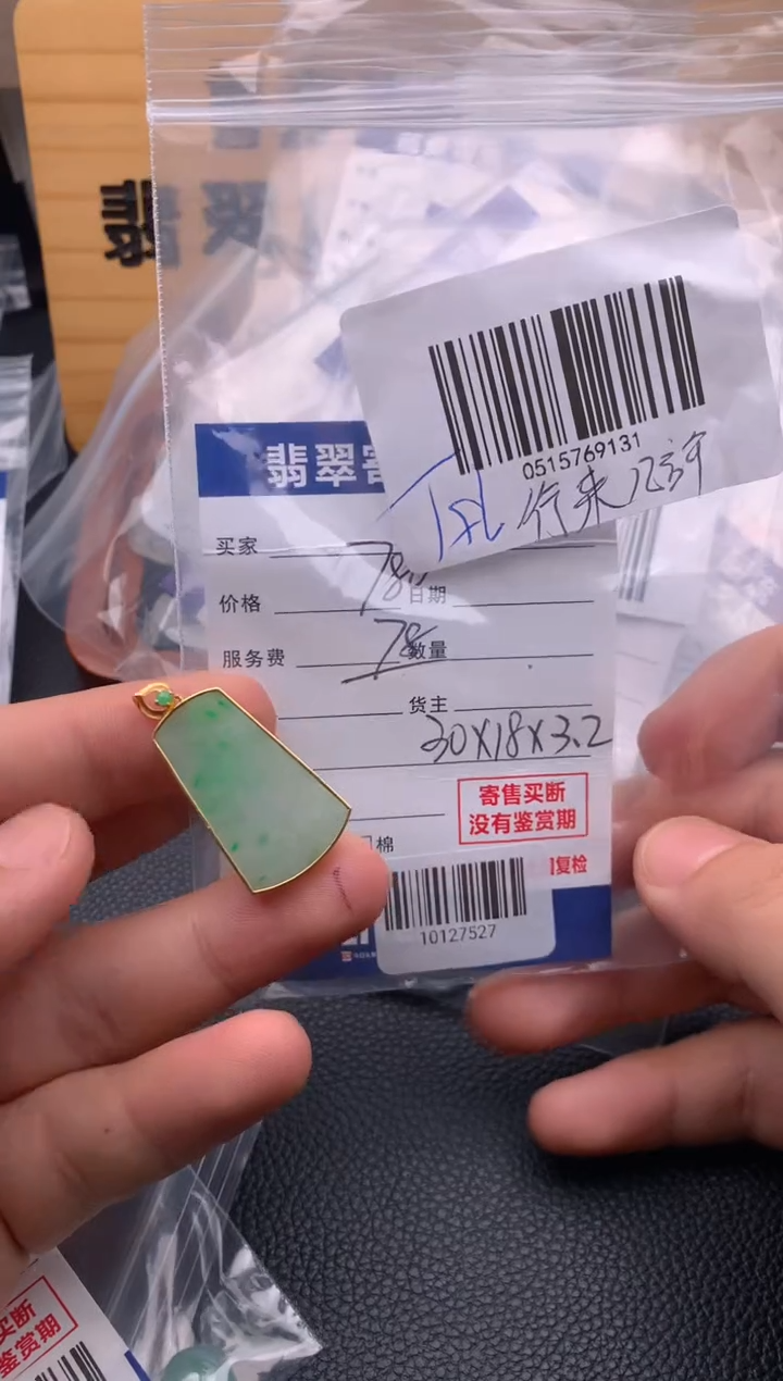翡翠18K金镶嵌颈饰21014454