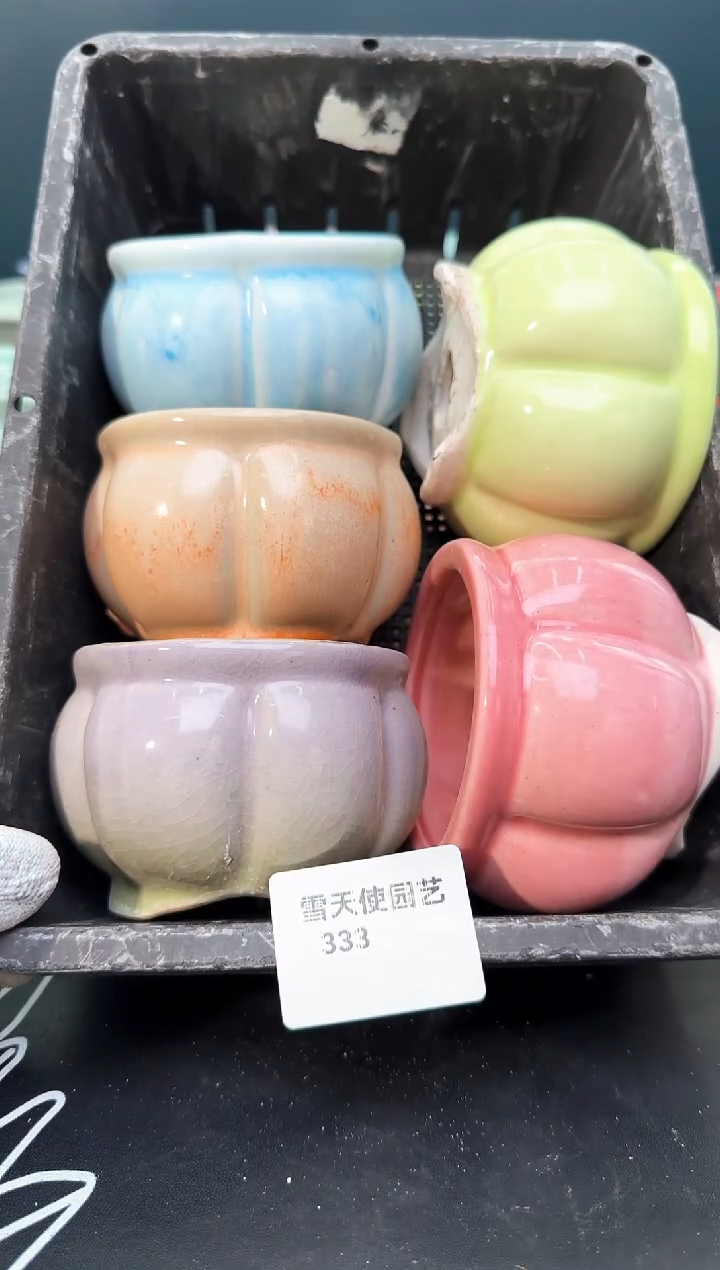 3 33 小南瓜盆 5 个默认微瑕