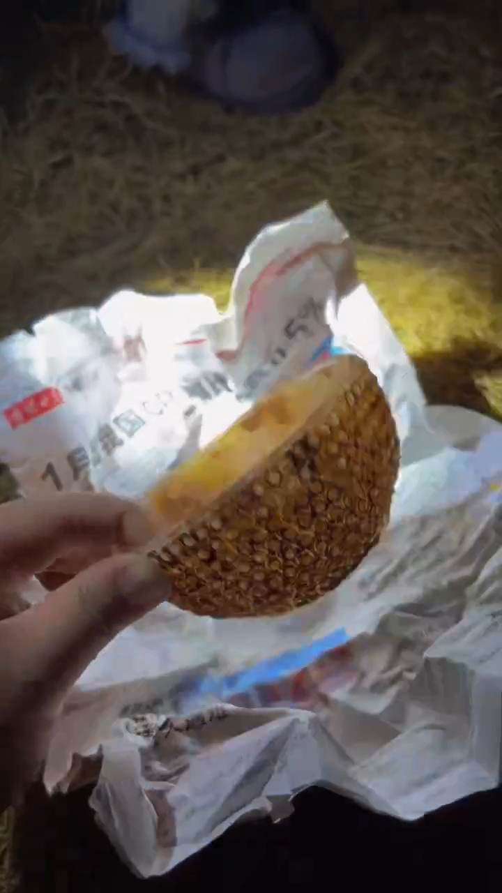 瓷片哈哈哈哈哈哈哈哈哈哈哈