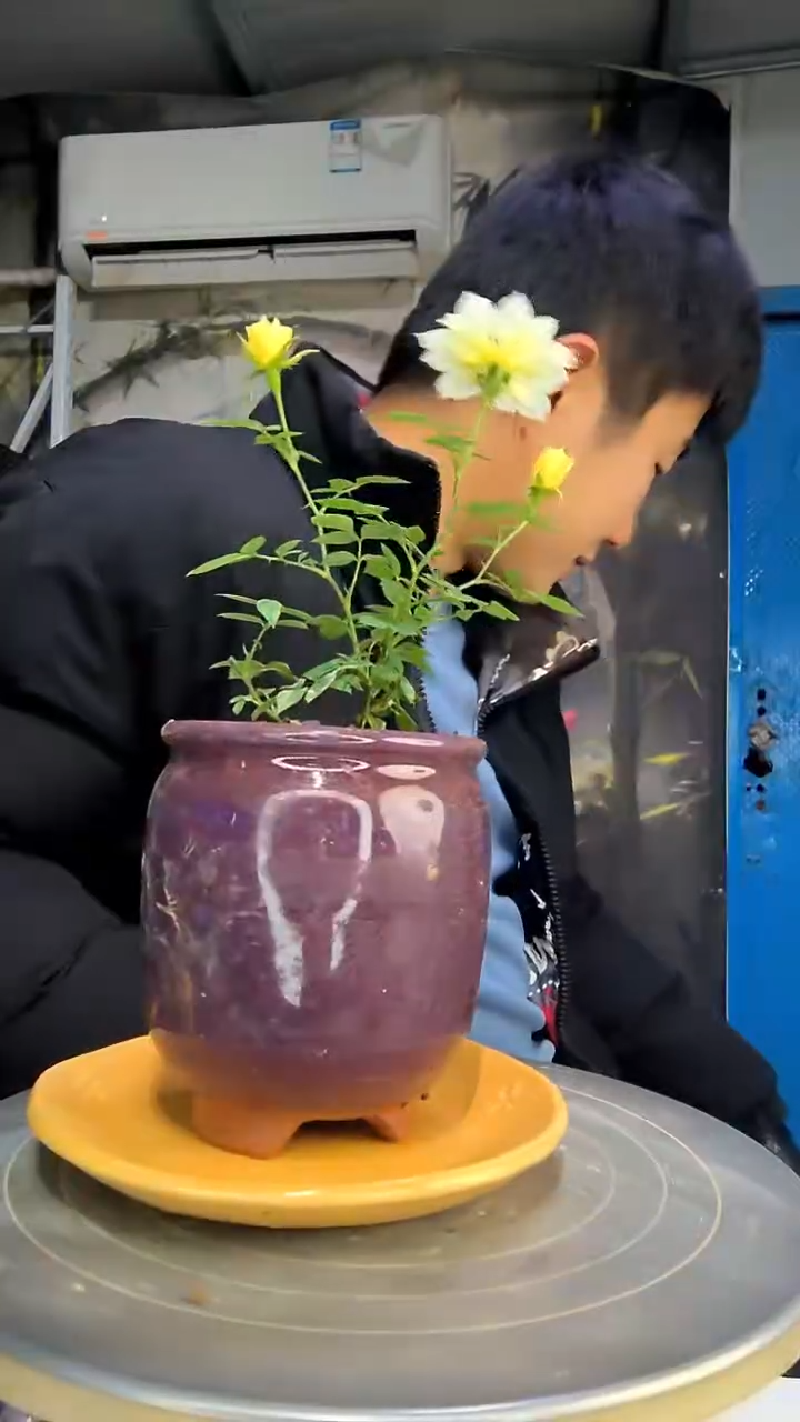 无*中青园艺一物一拍花168
