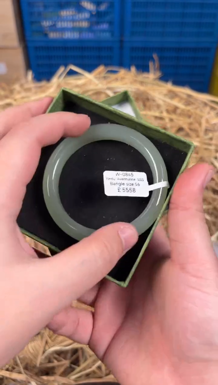 未镶嵌手镯石英质玉W0845