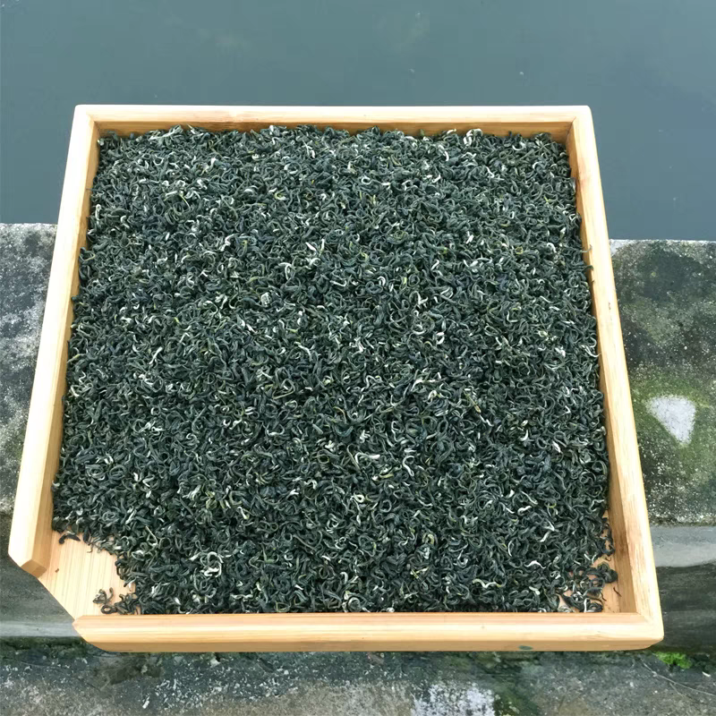 高山云雾绿茶毛峰茶 贵州散装茶248g
