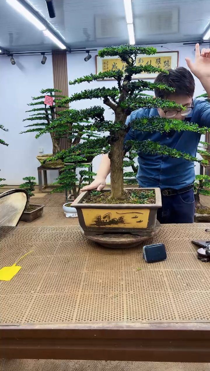 无花朵一物一拍，所见即所得