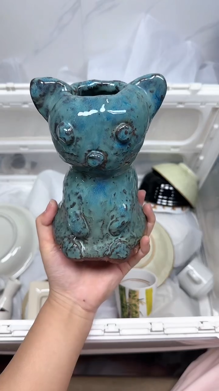 【闪购商品】2662回流瓷器默认微瑕，18.8包邮