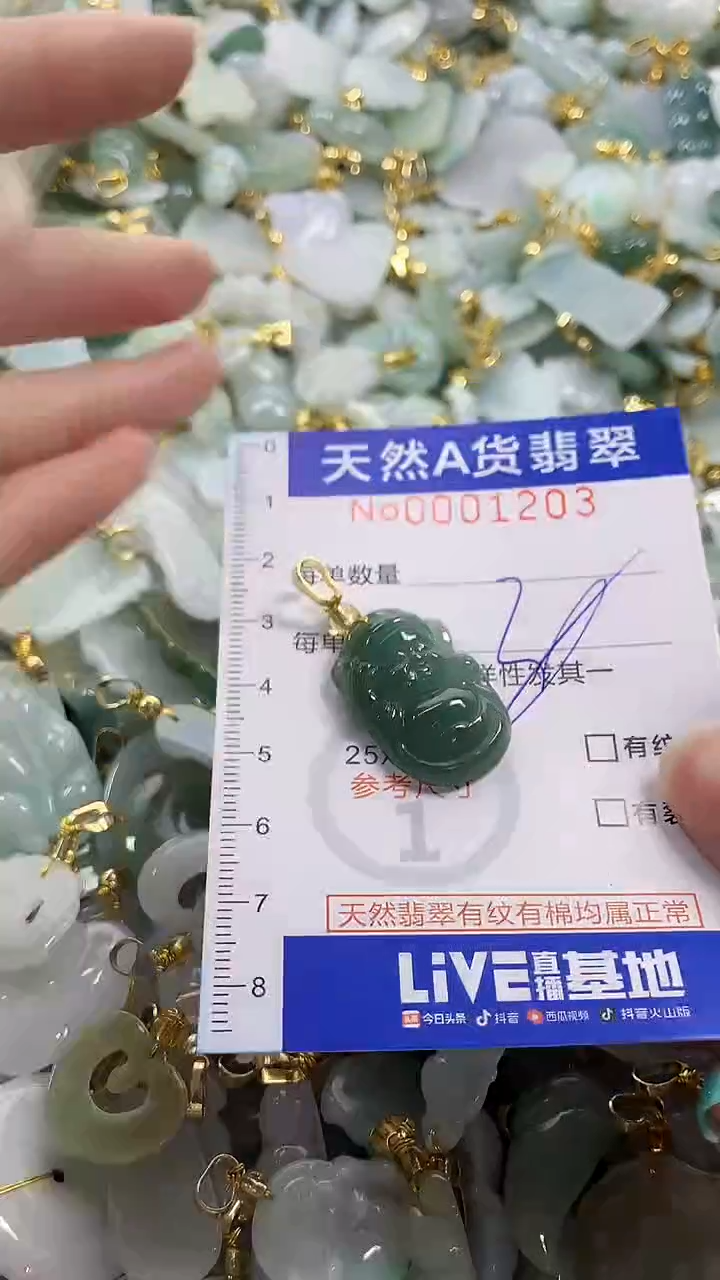 颈饰未镶嵌翡翠纯天然a货翡翠