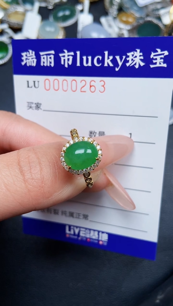 【闪购商品】翡翠颈饰银S925镶嵌0263