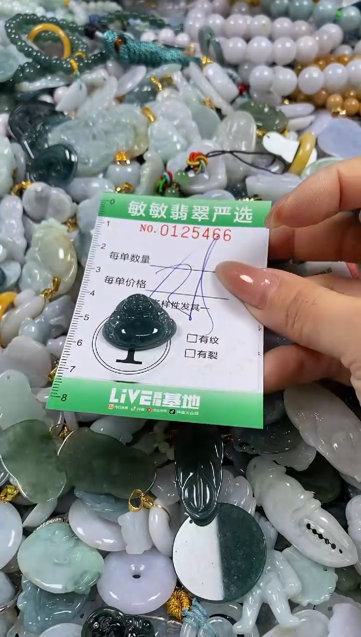 【闪购商品】翡翠颈饰未镶嵌闪购0125466多样性发其一