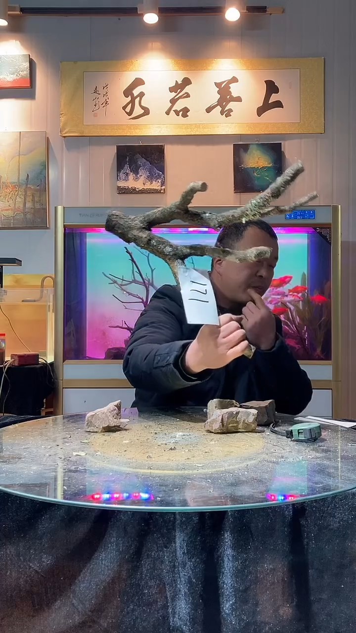 171号天然黄栎木