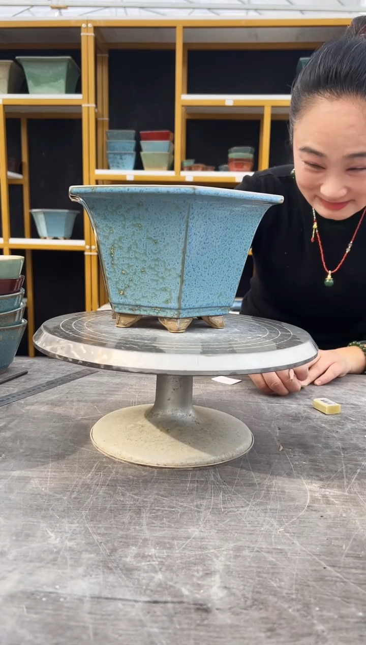 M*i53号星纹蓝一盆