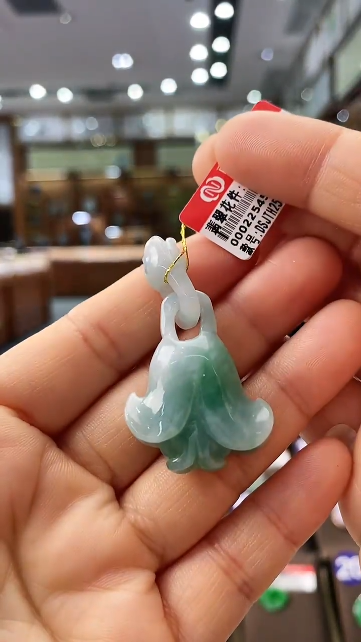 【闪购商品】翡翠颈饰未镶嵌花件