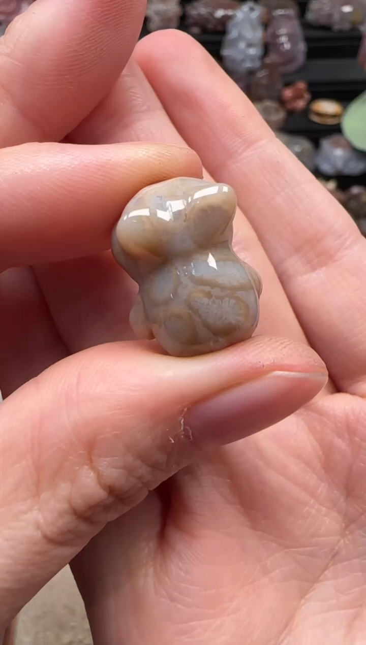 颈饰未镶嵌硅化珊瑚（珊瑚玉）776