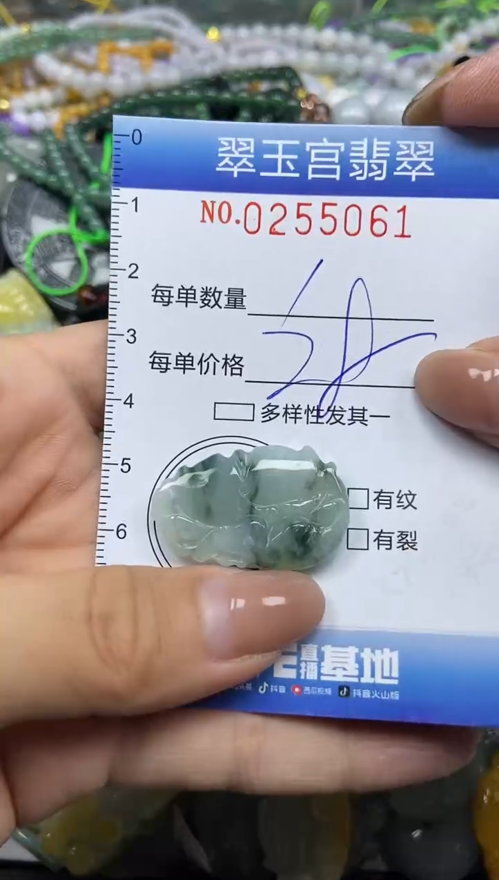 颈饰未镶嵌翡翠闪购C0255061