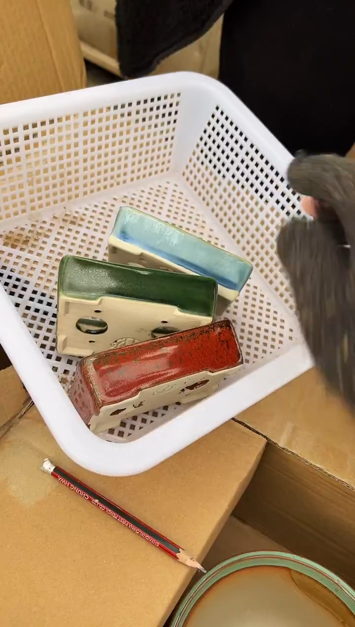 潜*中21号3个微瑕的