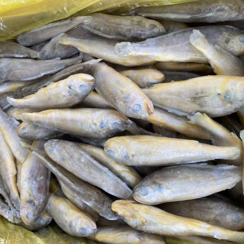 单冻小黄鱼 约500g
