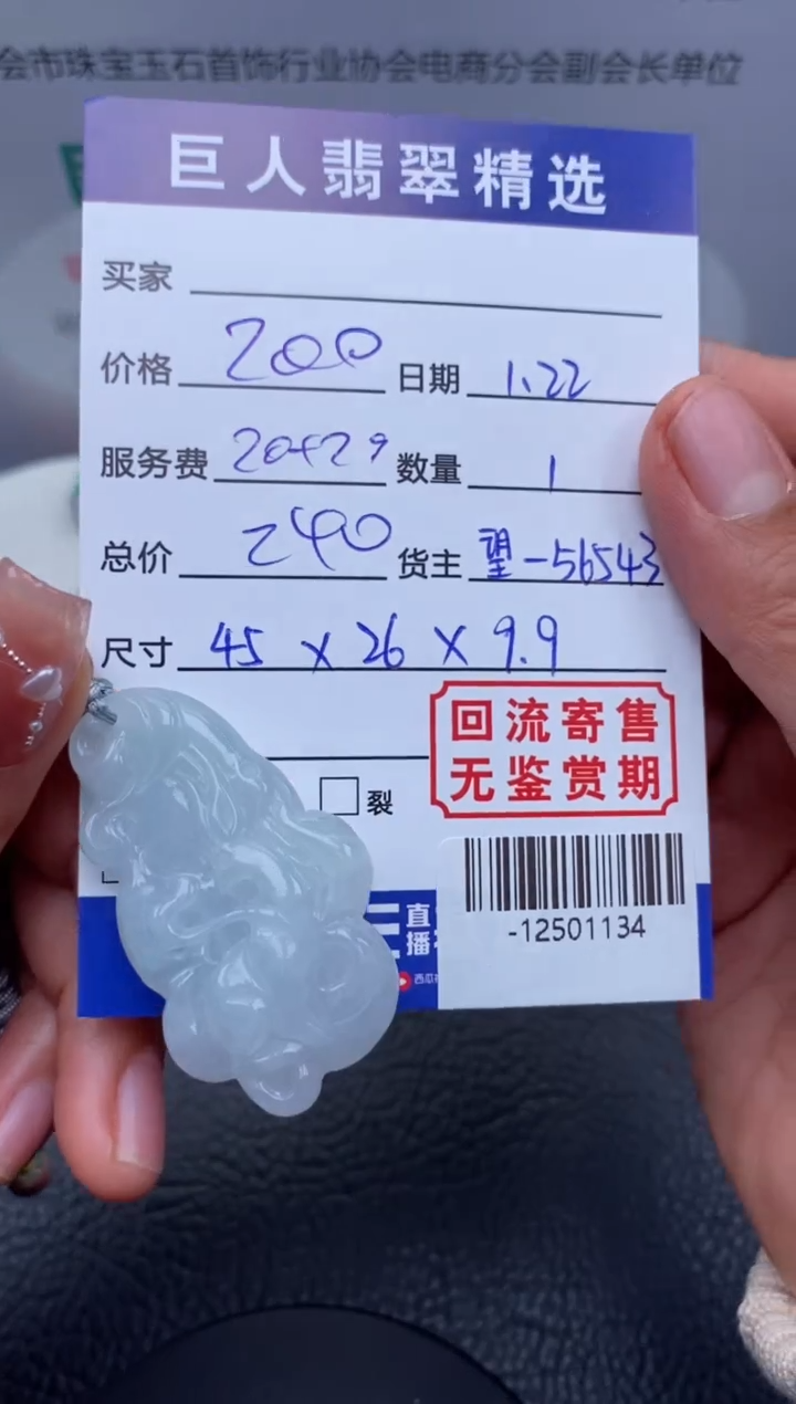 【闪购商品】翡翠颈饰未镶嵌多人-12501134