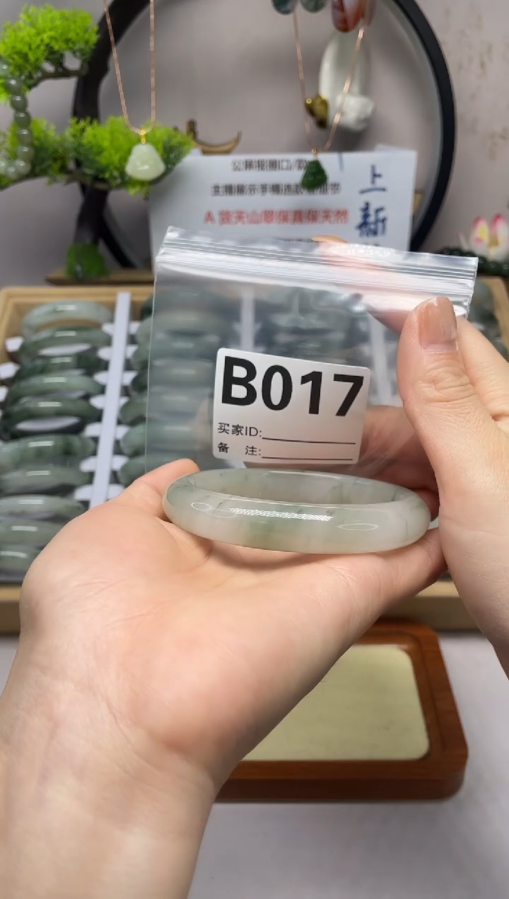 【闪购商品】石英质玉（天山翠）手镯未镶嵌b017