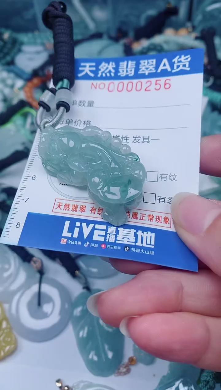 颈饰未镶嵌翡翠00000256