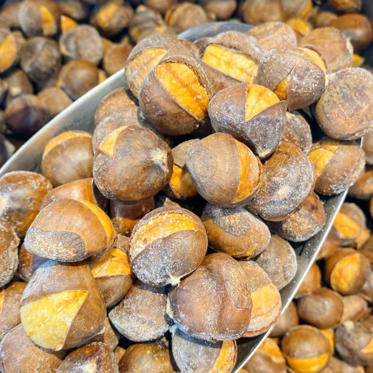  锁鲜冰栗（熟的 直接吃）