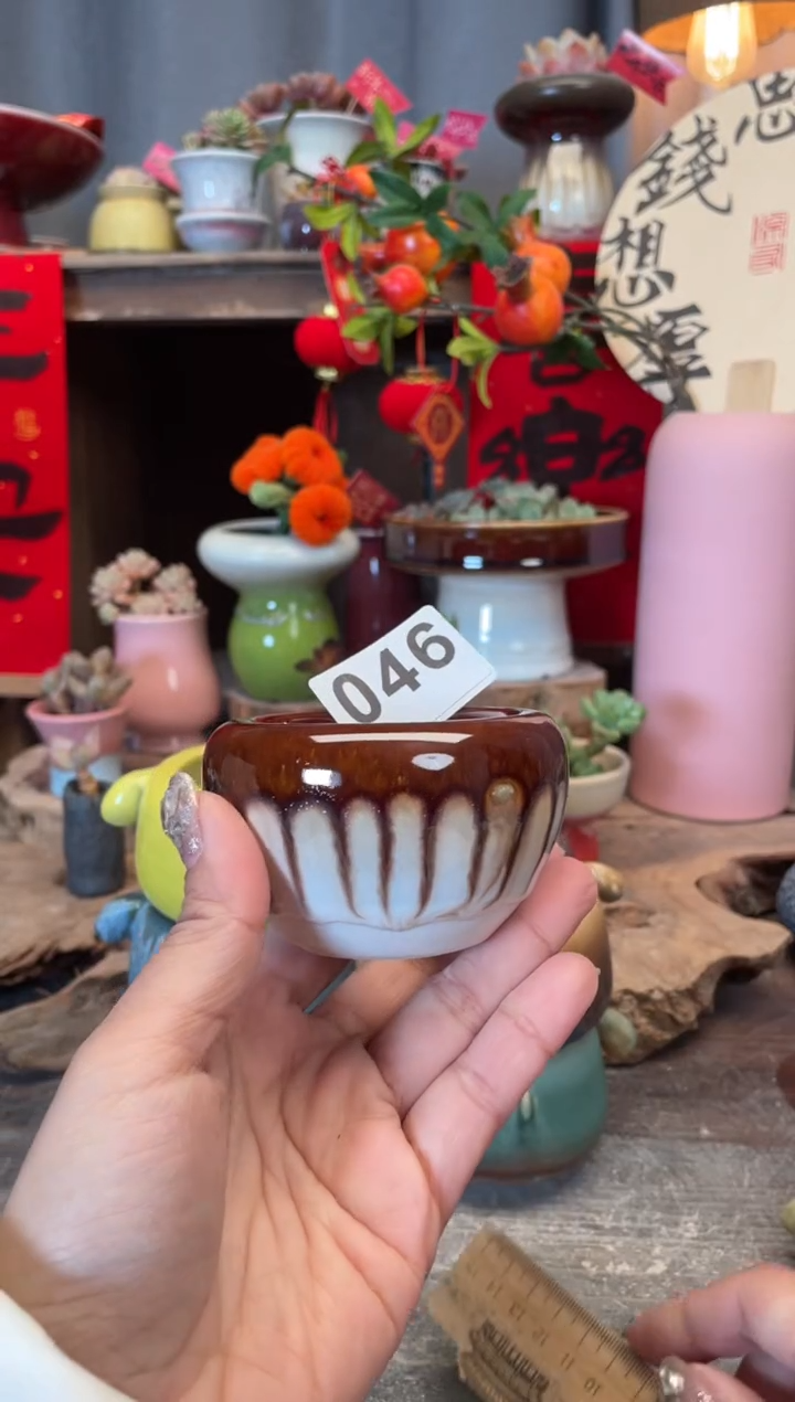 【闪购商品】摆件046知木小芳花盆