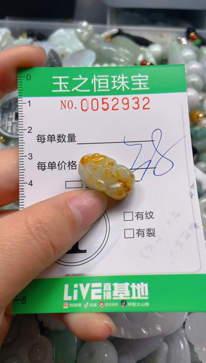【闪购商品】翡翠颈饰未镶嵌闪购0052932
