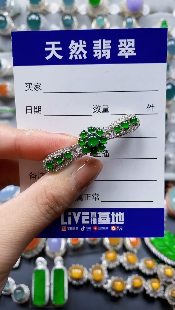 翡翠银S925镶嵌颈饰0617