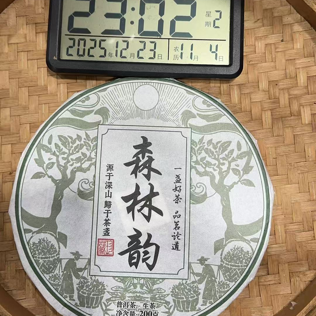 868号-2024年200克凤庆香竹箐森林韵（春）普洱生茶手撕饼