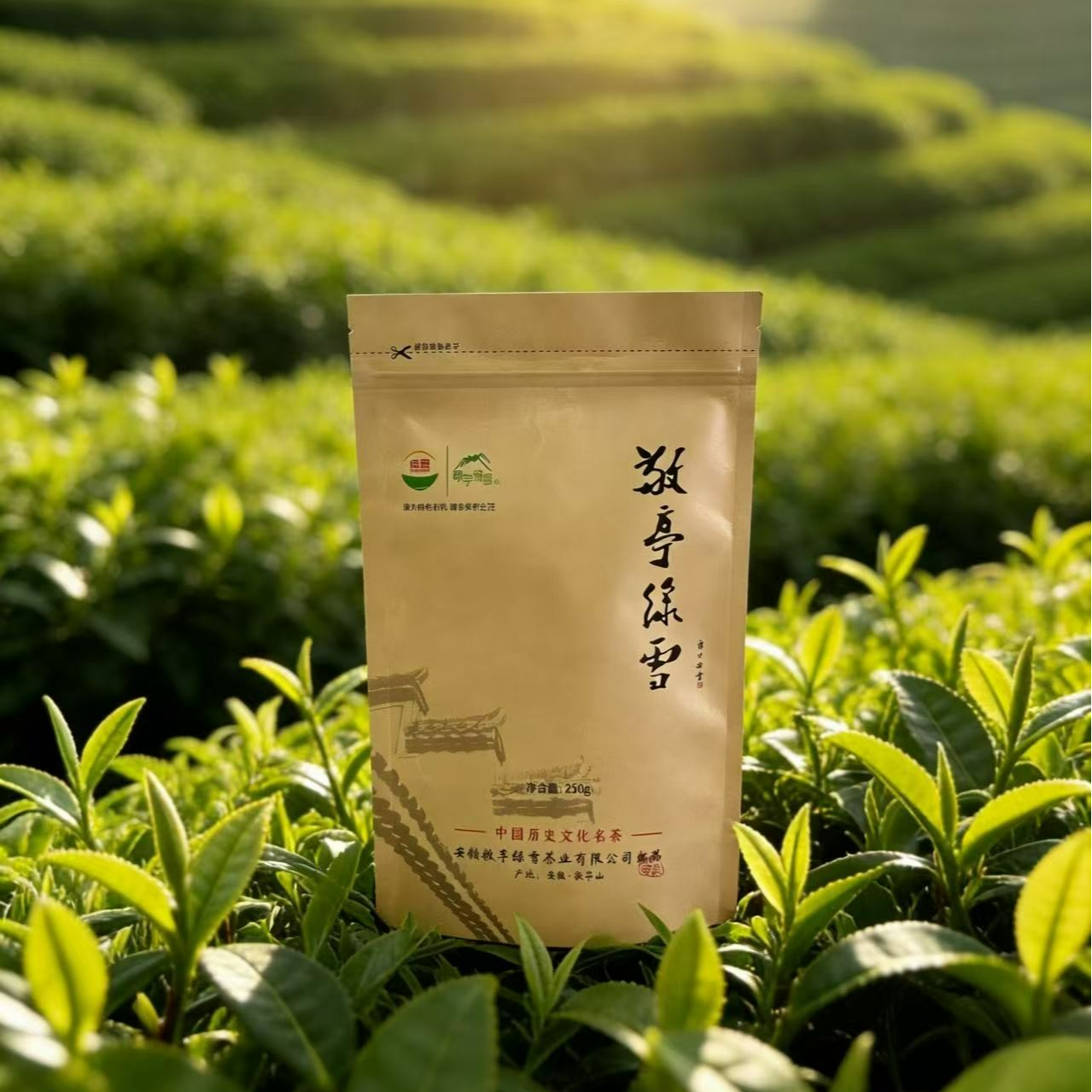敬亭绿雪绿茶2025年新茶宣城敬亭山原产地明前茶250g牛皮纸袋