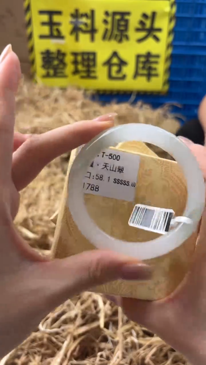 未镶嵌手镯石英质玉T-500