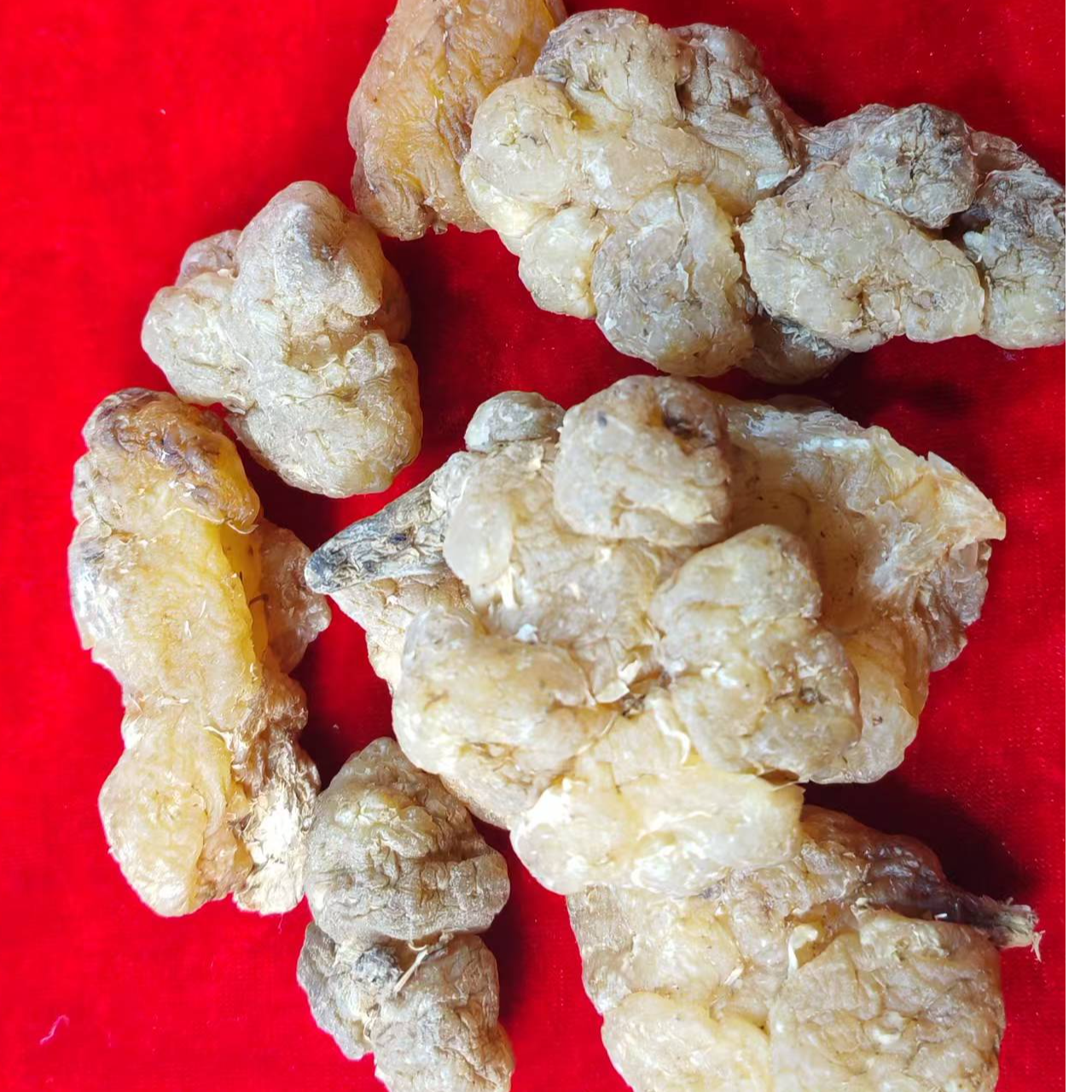 1【玉-精-灵-菇】净含量：250g【阿忠现收现卖】菌