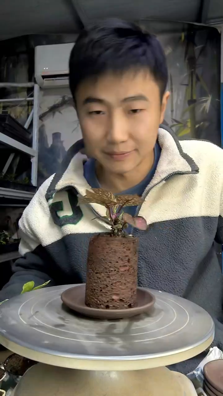 波****界中青园艺一物一拍花424