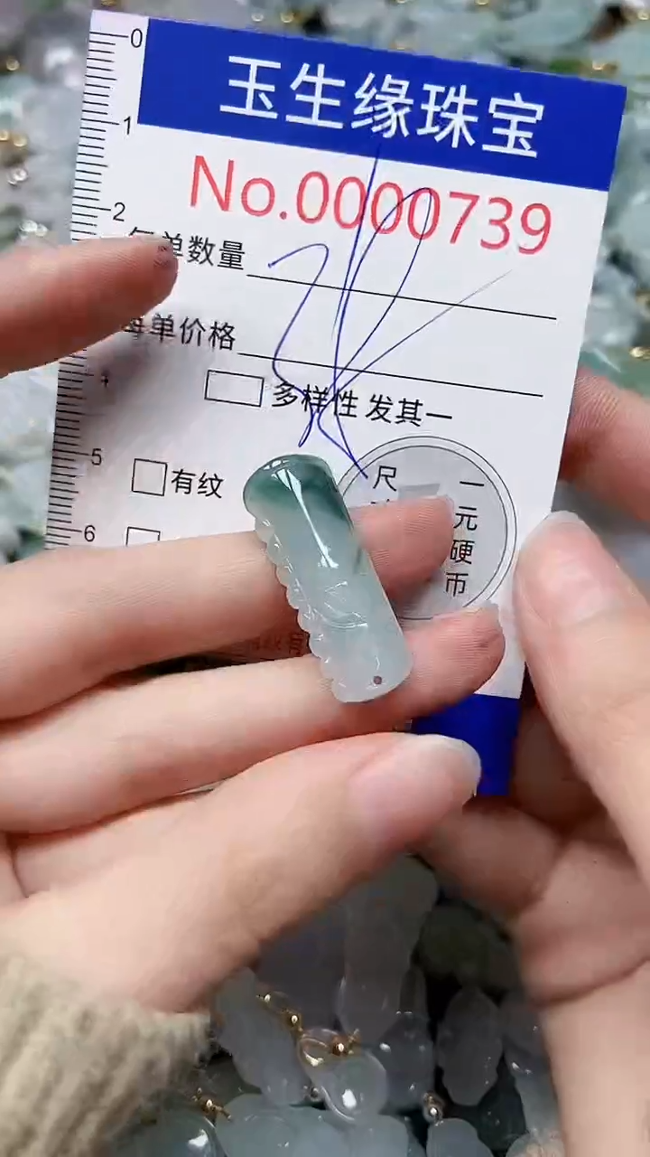 【闪购商品】翡翠颈饰未镶嵌闪购00000739