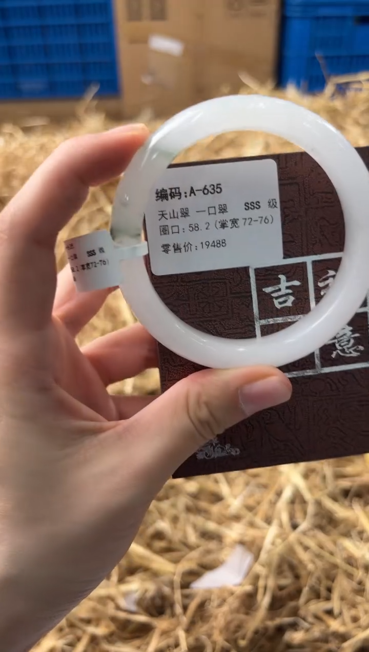 未镶嵌手镯石英质玉A635