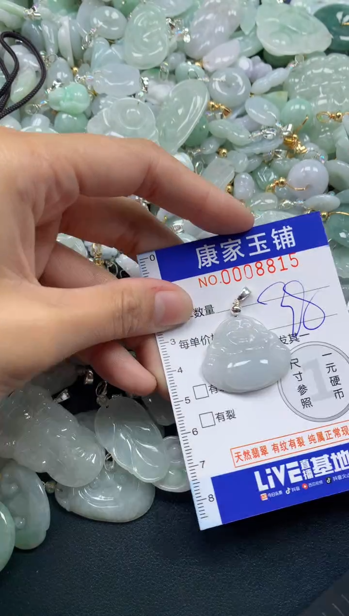 颈饰未镶嵌翡翠8815