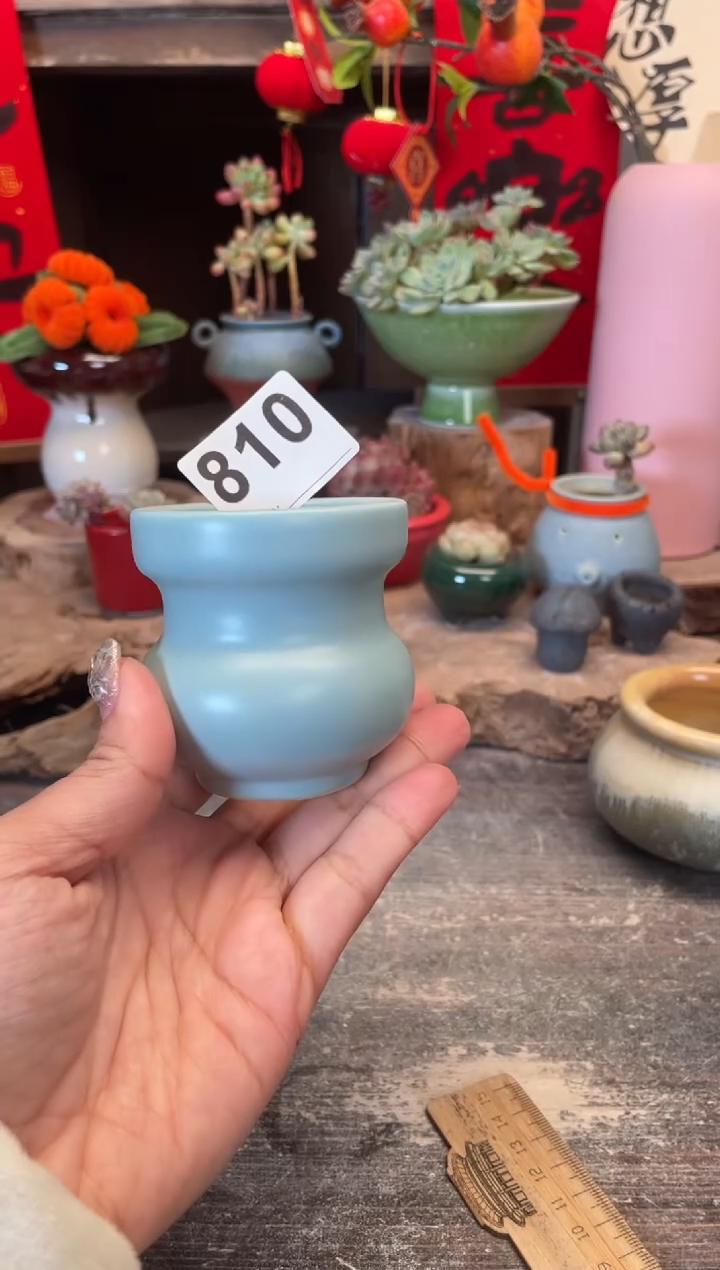 【闪购商品】摆件810知木小芳花盆