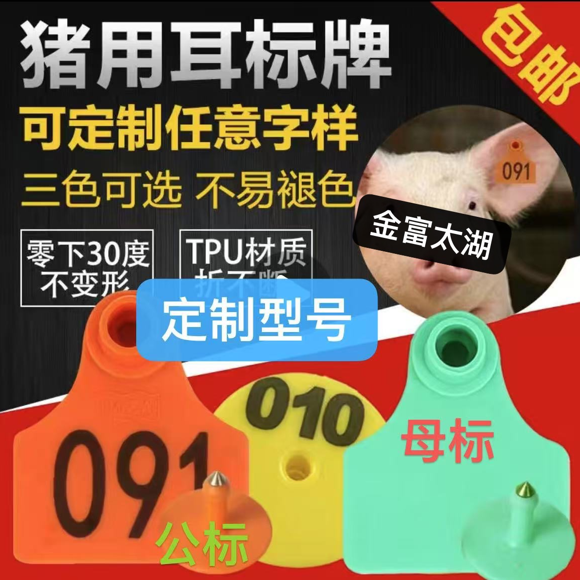 太湖母猪苏太种猪耳标一件批发包邮包对版生态养殖母猪专用