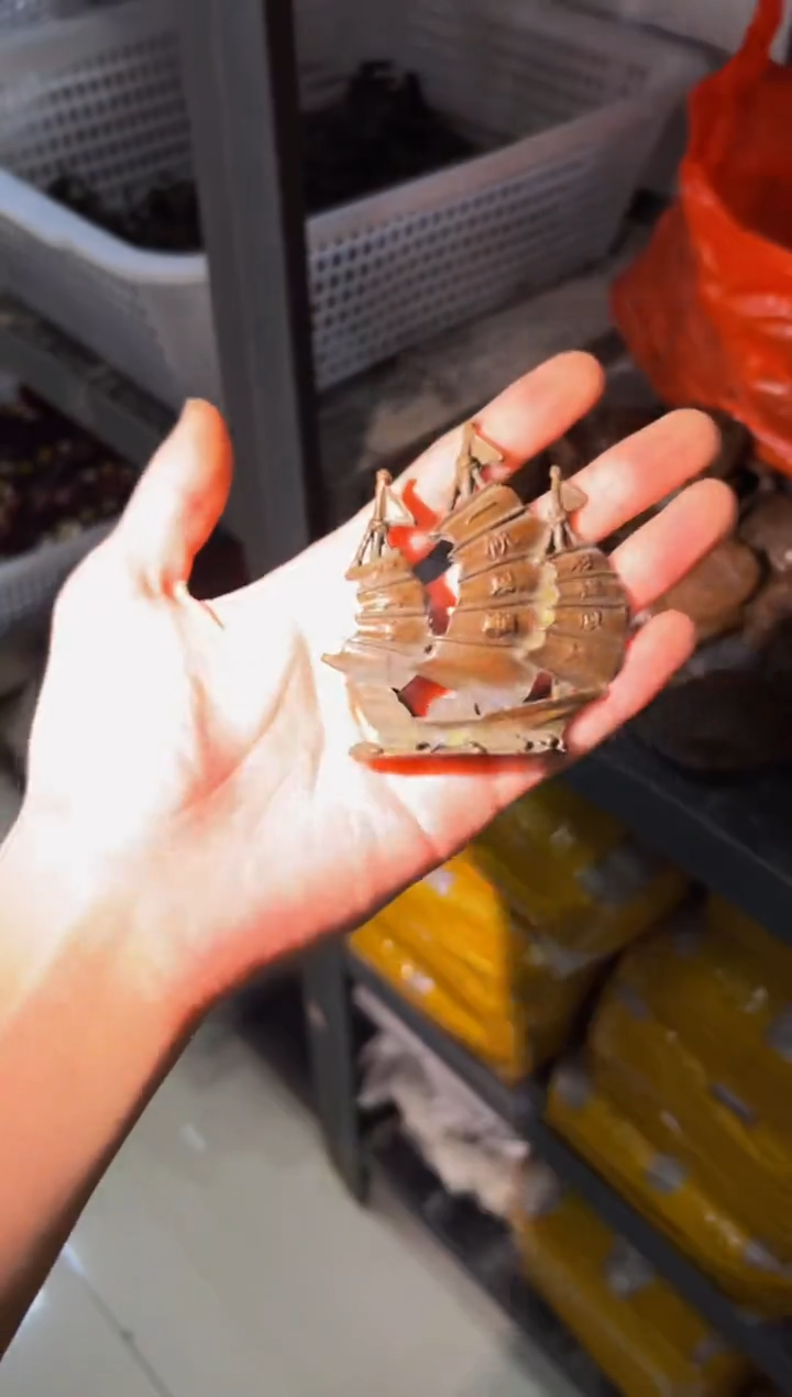 主播精选链接———————船