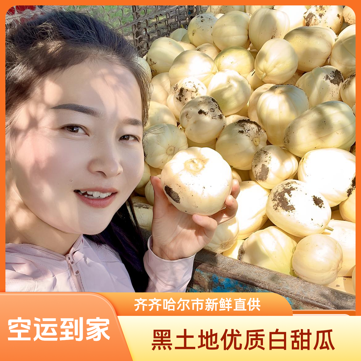 黑龙江头茬现摘香瓜（空运到家）