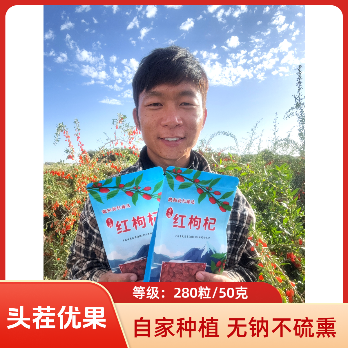小果-青海柴达木头茬枸杞 无钠不熏硫纯碱晾晒 煲汤熬粥打豆浆