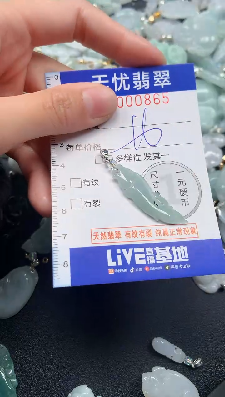 颈饰未镶嵌翡翠865